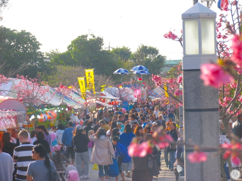 135 Re1 1 Nago Sakura Matsuri